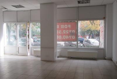 Inchiriere spatiu comercial Teiul Doamnei - 18