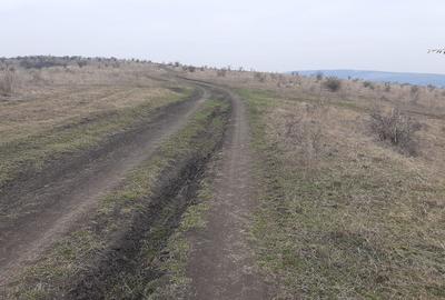 Teren agricol pentru investitii, zona Valea Calda -Iris - 10