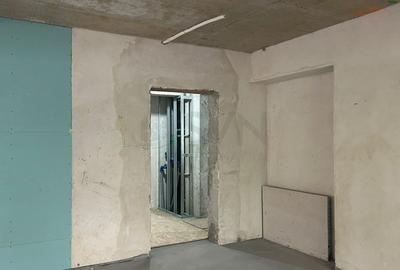 REC3001797 Spartiu comercial birouri Iancu Nicolae stradal bloc nou - 6