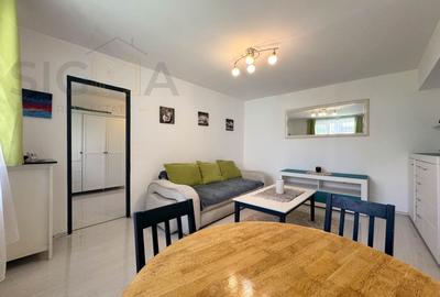 Apartament cu 2 camere de inchiriat, str. Horea! - 8