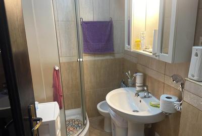 Apartament 2 camere , cartier Gara , parter , imbunatatit , mobilat si utilat, c - 10
