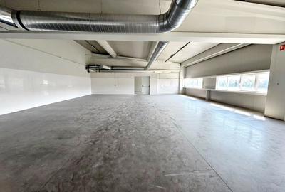 Spatiu mixt de inchiriat in Oradea, productie sau servicii, zona Calea Bihorului - 1