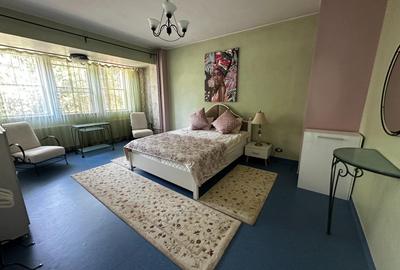 Vila individuala Victoriei pretabil birouri clinica restaurant rezidenta - 23