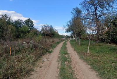 Resita, Teren Intravilan 2819 Mp., 16 Euro Mp., Calea Caransebesului, Km. 6 - 14