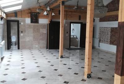 Inchiriere Vila zona Ion Mihalache - 12