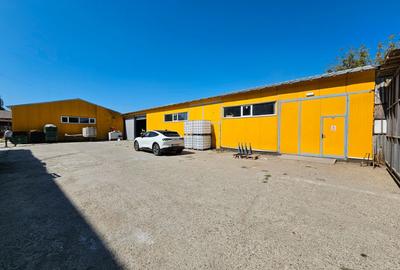 Hale Industriale 5065 mp de vanzare Str. Bradului - Bacau - 10