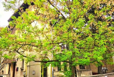 Apartament 3 camere in vila, plus garsoniera demisol si curte langa Parcul Heras - 4