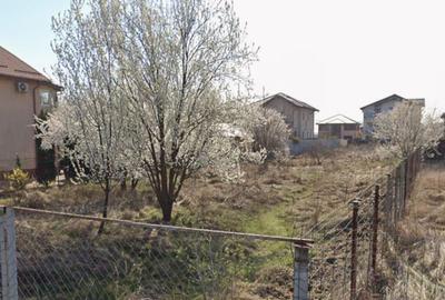 Teren intravilan Comuna Berceni - Nicolae Labis - 1