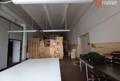 Hala industriala 1.411 mp, teren 2.068 mp - Acces TIR, Freidorf - 5