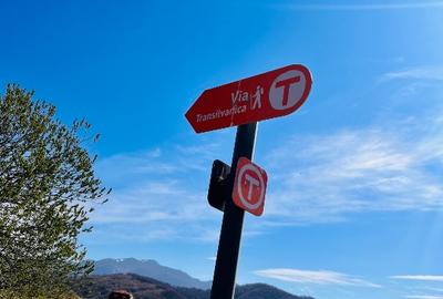 Teren intravilan Râșnov – Glejerie  5 parcele x 1000 mp  Capăt Str. Greierilor - 16