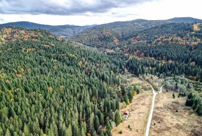 Poiana lui Manole - teren Intravilan - 1