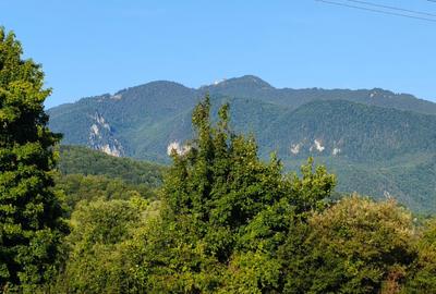 Teren agricol extravilan de 10100 mp, în Central
