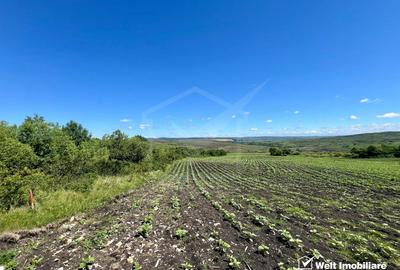 Oportunitate investitie, Chinteni, zona Macicas 31.600 MP - 1