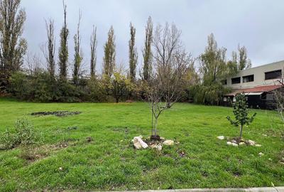 584 mp | Teren liber | Ideal locuinta | Zona pazita - 7