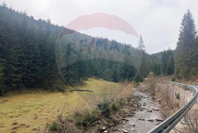 Arieșeni–Strada Fața Cristesei -Teren 4.331 mp cu Peisaj de Poveste - 12
