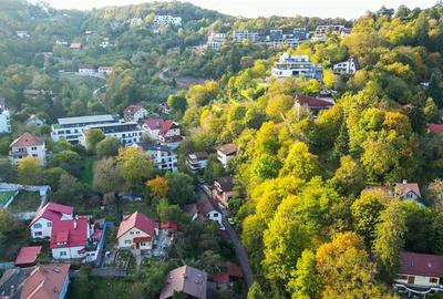 Vila in pretiosul areal: Drumul Poienii .-. Centru Istoric Medieval Brasov. - 4