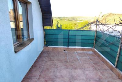 Casă individuală în zonă pitorească, cu 3271 mp teren, Vâlcele-Feleacu - 16
