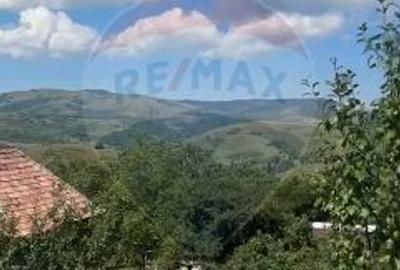 Casă de vacanță + 17.490 mp teren – zonă turistică Transapuseana - 4