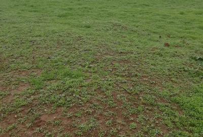 Teren intravilan Ghercesti - 1000mp - 1