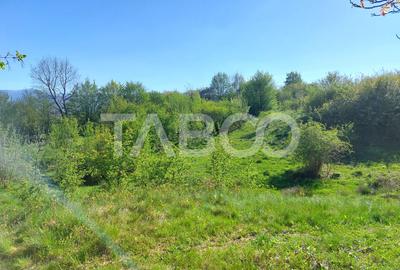 Teren intravilan 4280 mp acces la drum si utilitati zona deosebita - 9