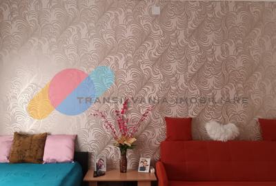 Apartament cu 2 camere, mobilat în Central