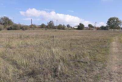 OCAZIE:Teren intravilan Tulcea-19euro/m.p. - 10