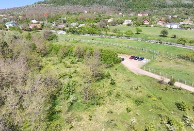 Teren de Vanzare – 850 mp | Petrarie – Burnova | Zona Verde, Investitie - 8