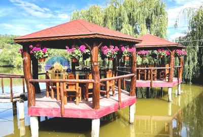 Hotel/Pensiune, 225 mp în Costișa