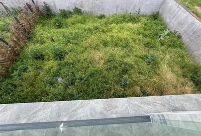 VILA IANCU NICOLAE // STRIP MALL// 181 MP UTILI - 26