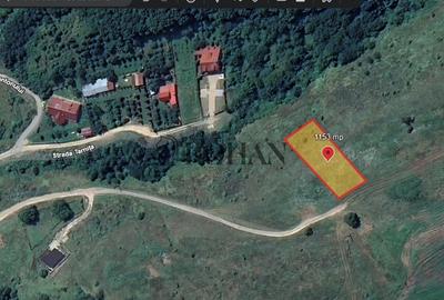 Oportunitate investiție 1153mp Tarnița - Micești - 6