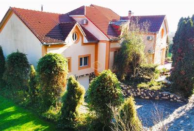 VIDEO | Domeniu privat la Padurea Noroieni | Vila D + P + M cu 9 camere | Curte, - 5