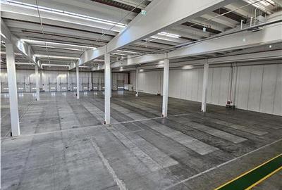 Spatii Industriale - 10000 mp - Logistica - Productie - Depozitare - Distributie - 8