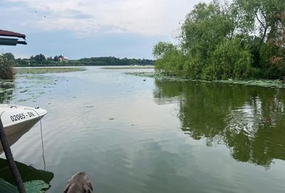 Teren cu deschidere la lac I Snagov - 18