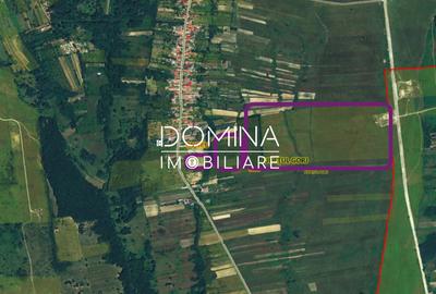Vânzare teren *17,8 ha - front stradal 40 m.l.* Comuna Runcu - Sat Dobrița - 4