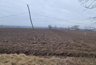 Teren la asfalt in Bucecea - 1