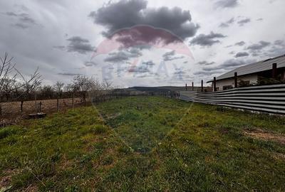 De vânzare teren intravilan 1,186mp Ineu -Strada Principală - 5