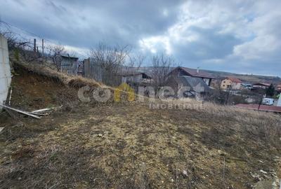 Casă individuală de vânzare | SU  113,7 mp | Teren 341 mp | Dezmir - 16