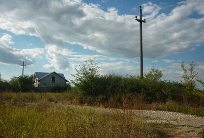 Teren 5000 mp,Niculesti –Peris –Ilfov - 4