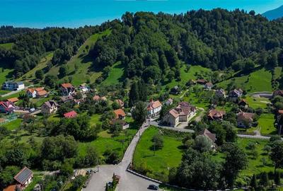 FILM! Proprietate autentica, Bran-Simon, 4.300 mp teren, casa traditionala + ane - 1