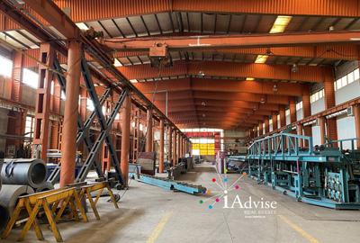 Spatiu industrial/ Hala de productie 3500 mp - Pod rulant - 2