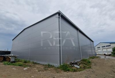 Hale depozitare/productie deschidere la Centura\Chitila - 11