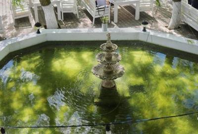 Afacere la Cheie: Complex Turistic în Murighiol, Delta Dunării - 12