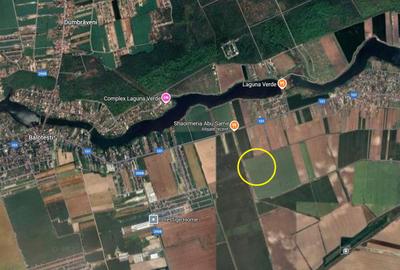 Teren Caciulati / 10.000 mp / D: 28 m / comision 0% - 1