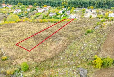 Teren 3000 mp în Snagov – zonă in dezvoltare, aproape de pădure - 12