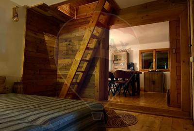 Casă de vacanță deosebită cu ciubăr si saună - natura si relaxare - 20