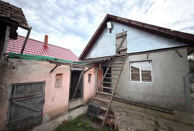 CASA CU TEREN 1081 MP | ACCES AUTO | ZONA SACUIENI | LOCALITATEA CADEA | BIHOR - 22