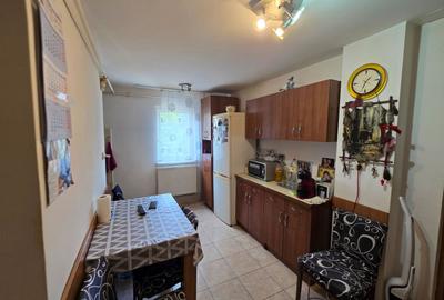 Apartament 3 camere,Zona Lipovei,Etaj 2, Mobilat si Utilat Complet, Garaj - 7