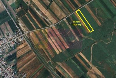 Cosoba, teren 7600 mp intravilan pe str Guliei - 1