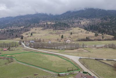 Teren Construcții intravilan de 6900 mp, în Plaiul Foii