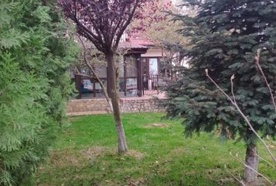 Casa 3 camere Domnesti - 2